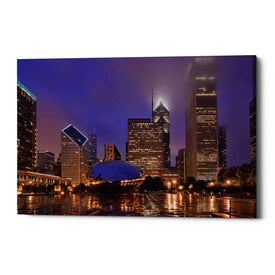 'The Bean in Autumn Rain,' Canvas Wall Art