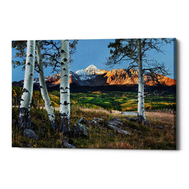 'Wilson Peak,' Canvas Wall Art