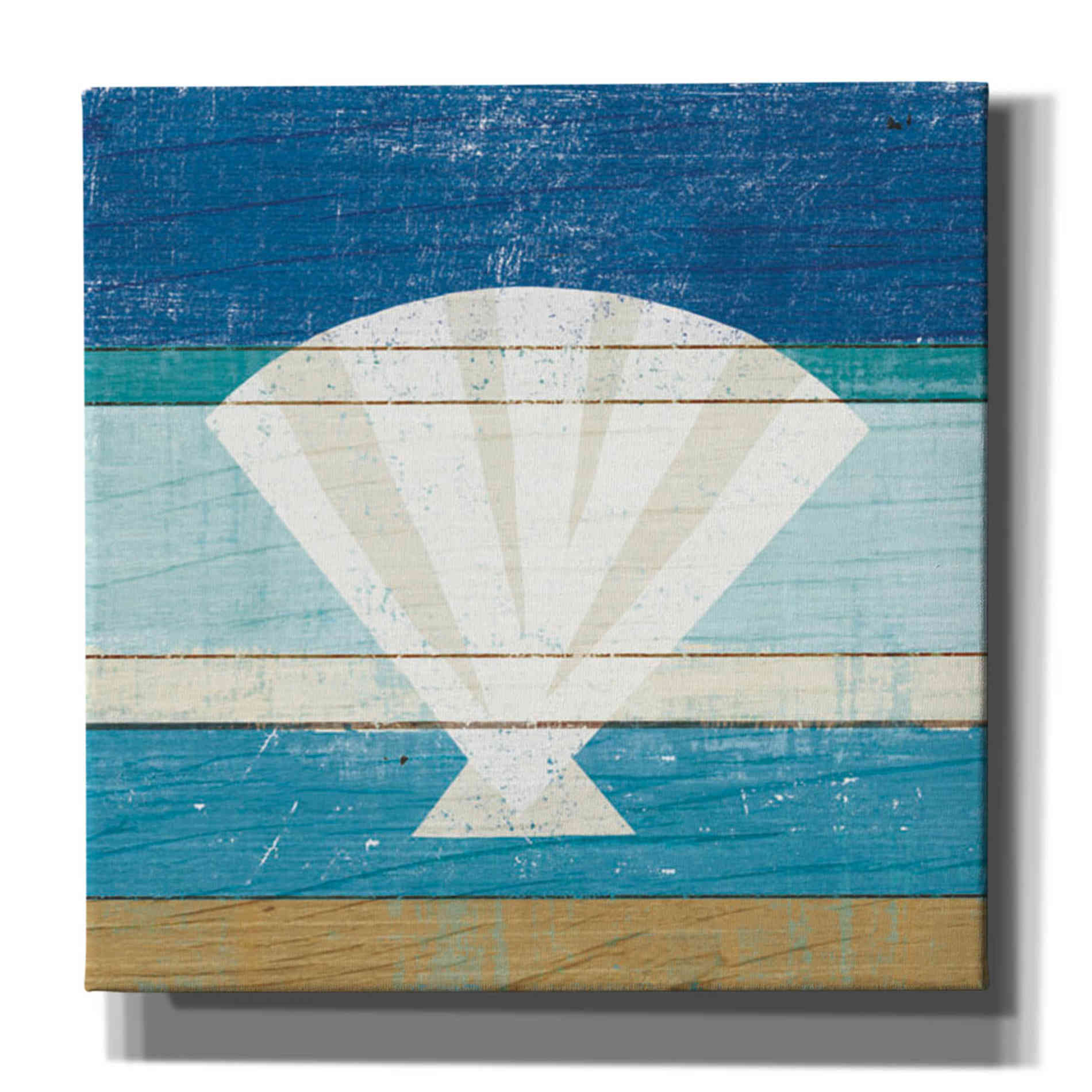 'Beachscape Shell' by Michael Mullan, Canvas Wall Art