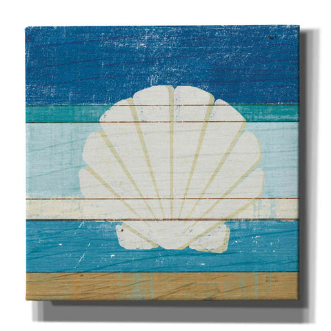 Image of 'Beachscape Shell v2' by Michael Mullan, Canvas Wall Art