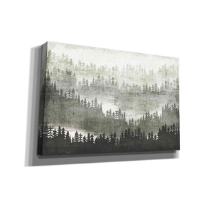 'Mountainscape Silver' by Michael Mullan, Canvas Wall Art