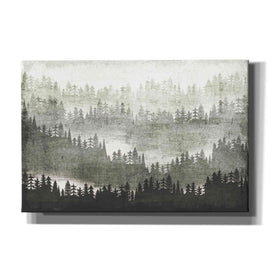 'Mountainscape Silver' by Michael Mullan, Canvas Wall Art