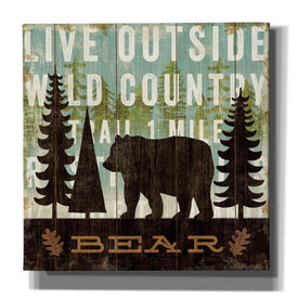 'Simple Living Bear' by Michael Mullan, Canvas Wall Art