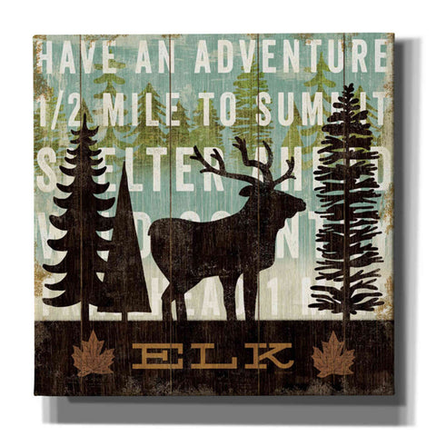 Image of 'Simple Living Elk' by Michael Mullan, Canvas Wall Art