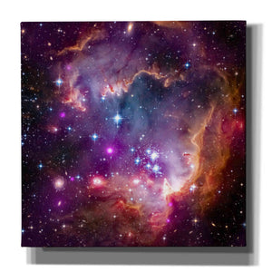 'Magellanic Cloud' Hubble Space Telescope Canvas Wall Art
