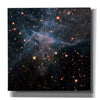 'Mystic Mountain Infrared' Hubble Space Telescope Canvas Wall Art