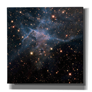 'Mystic Mountain Infrared' Hubble Space Telescope Canvas Wall Art