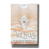 'Visions of the Future: Venus' Canvas Wall Art,12 x 18