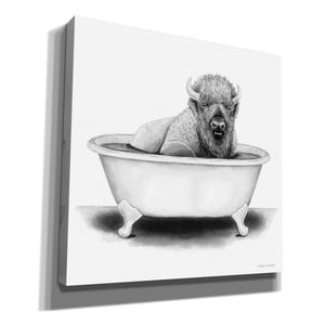 'Bison in Tub' by Rachel Nieman, Canvas Wall Art,Size 1 Square