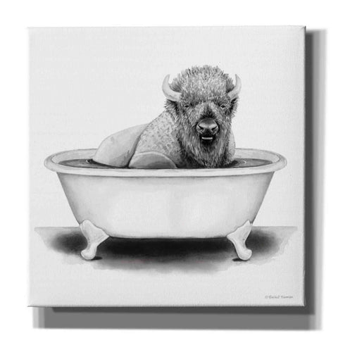 Image of 'Bison in Tub' by Rachel Nieman, Canvas Wall Art,Size 1 Square