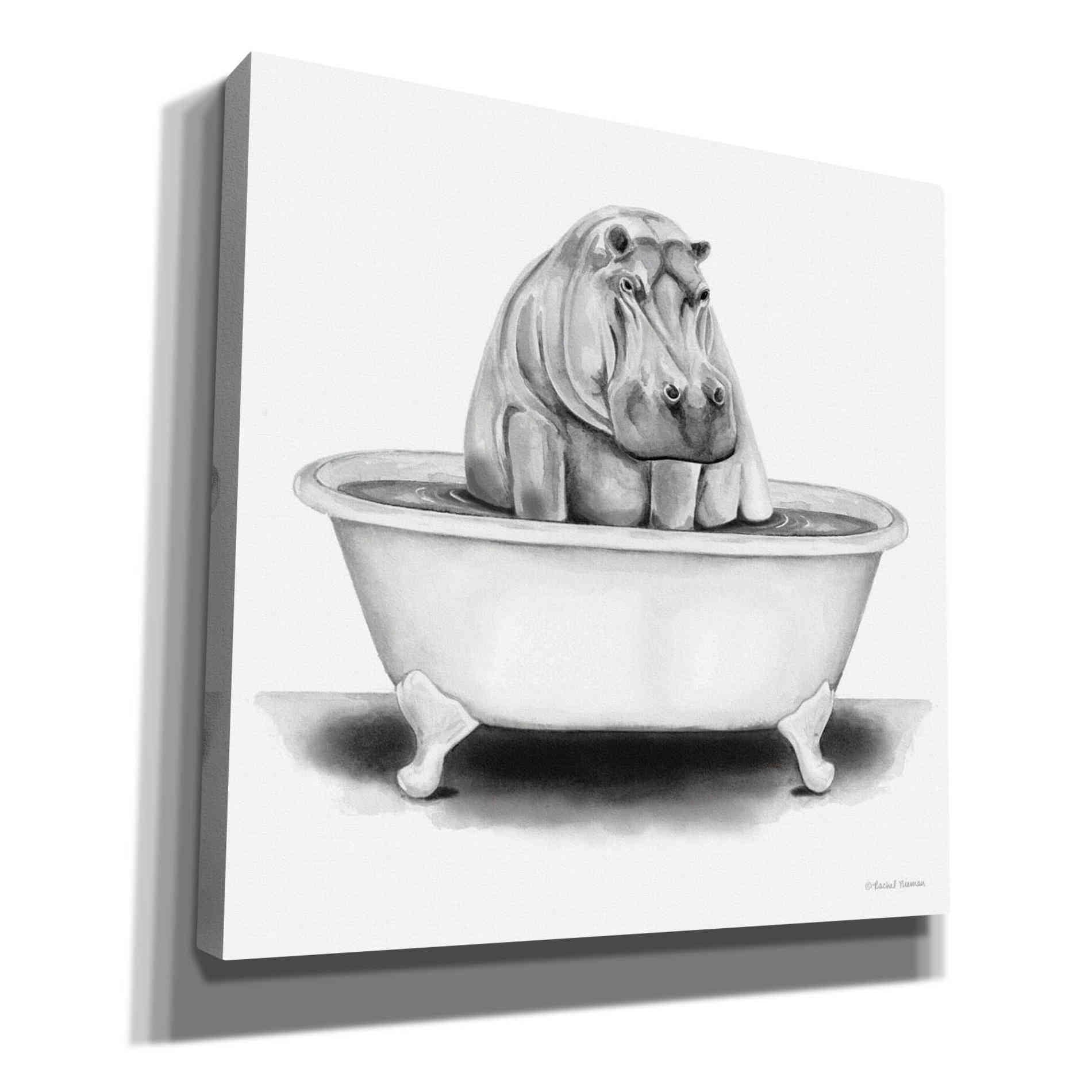 'Hippo in Tub' by Rachel Nieman, Canvas Wall Art,Size 1 Square