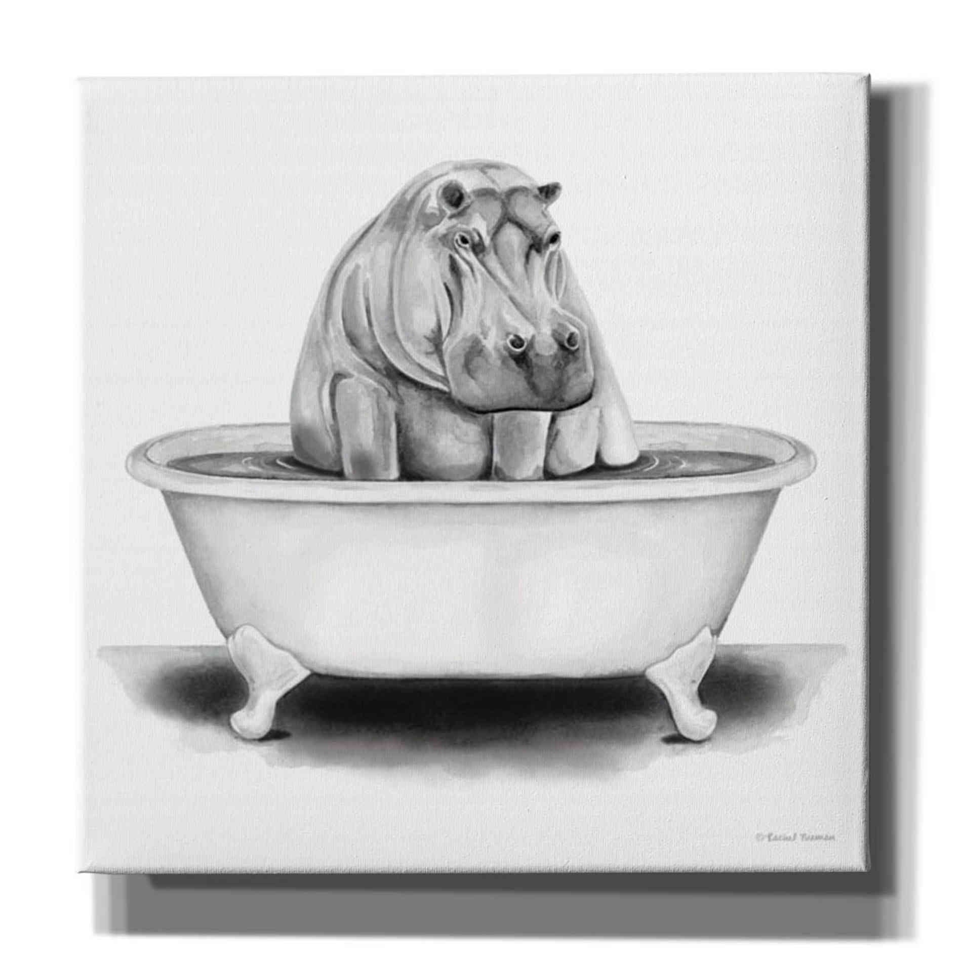'Hippo in Tub' by Rachel Nieman, Canvas Wall Art,Size 1 Square