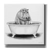 'Hippo in Tub' by Rachel Nieman, Canvas Wall Art,Size 1 Square