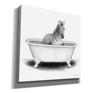'Zebra in Tub' by Rachel Nieman, Canvas Wall Art,Size 1 Square