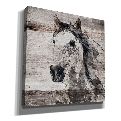 Image of 'Sparkle Horse 4' by Irena Orlov, Canvas Wall Art