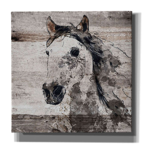 Image of 'Sparkle Horse 4' by Irena Orlov, Canvas Wall Art
