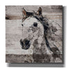 'Sparkle Horse 4' by Irena Orlov, Canvas Wall Art