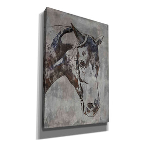 'Morgan Horse-Black Beauty 6' by Irena Orlov, Canvas Wall Art