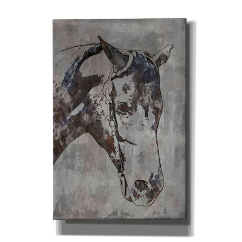 Image of 'Morgan Horse-Black Beauty 6' by Irena Orlov, Canvas Wall Art