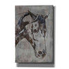 'Morgan Horse-Black Beauty 6' by Irena Orlov, Canvas Wall Art