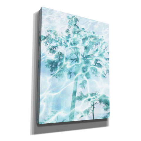 Image of 'Cyan Tree 1' by Irena Orlov, Canvas Wall Art