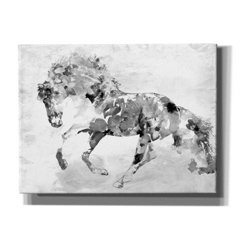 Image of 'Beautiful Floral Horse 1-4' by Irena Orlov, Canvas Wall Art