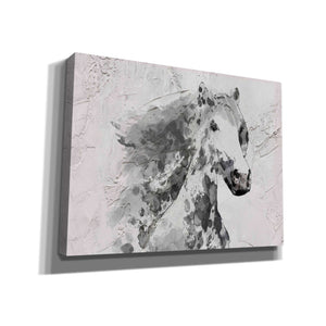'White Stallion 1' by Irena Orlov, Canvas Wall Art