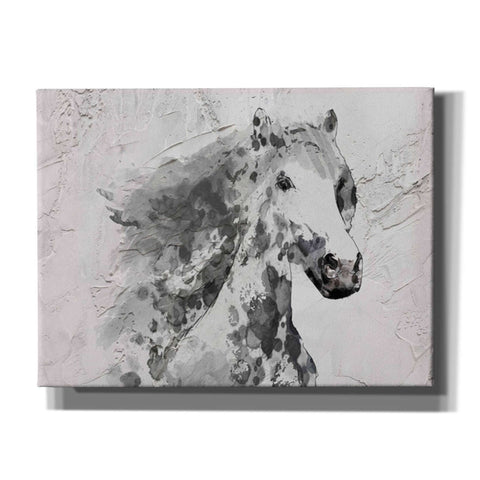 Image of 'White Stallion 1' by Irena Orlov, Canvas Wall Art