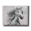 'White Stallion 1' by Irena Orlov, Canvas Wall Art