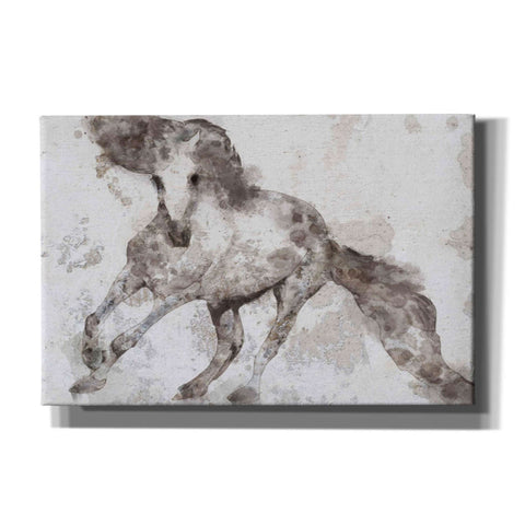 Image of 'Alydar Horse' by Irena Orlov, Canvas Wall Art