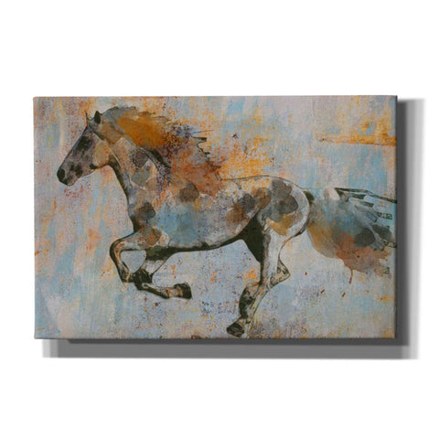 Image of 'Rusty Horse 2' by Irena Orlov, Canvas Wall Art