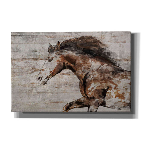 Image of 'WILD HORSE RUNNING 4' by Irena Orlov, Canvas Wall Art