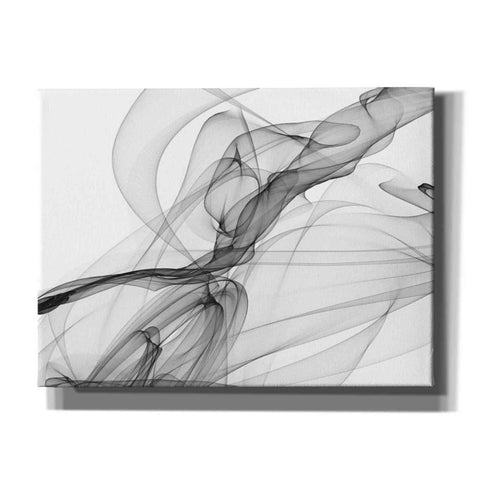 Image of 'Abstract Black and White 18-21' by Irena Orlov, Canvas Wall Art