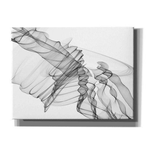 Image of 'Abstract Black and White 19-22-36' by Irena Orlov, Canvas Wall Art