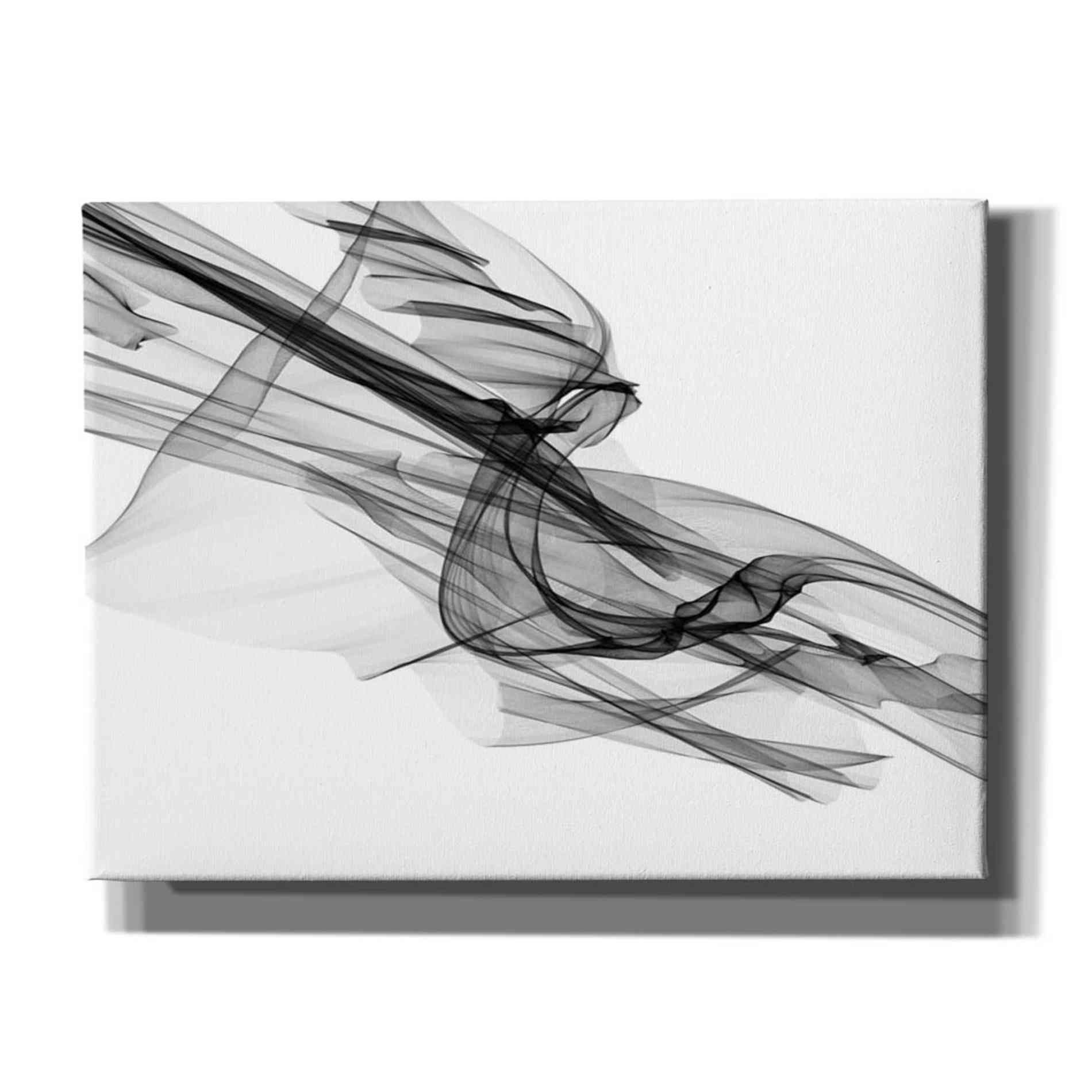 'Abstract Black and White 19-48' by Irena Orlov, Canvas Wall Art