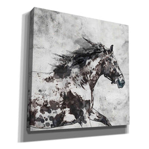 'Bay Horse 4' by Irena Orlov, Canvas Wall Art