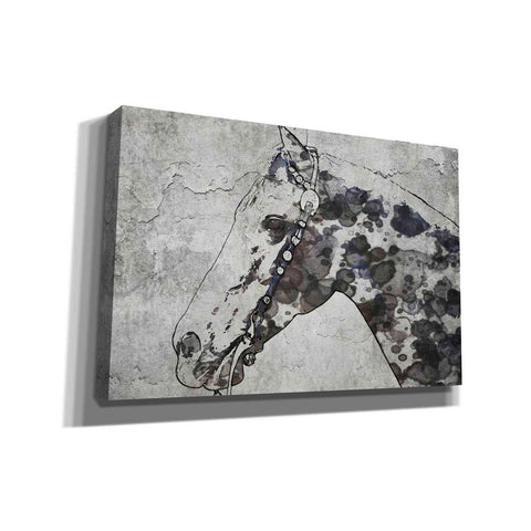 Image of 'Black Ghost Horse 2' by Irena Orlov, Canvas Wall Art
