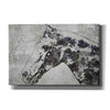 'Black Ghost Horse 2' by Irena Orlov, Canvas Wall Art