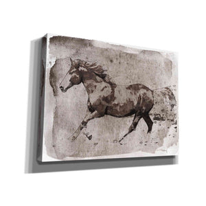 'Brown Horse Running' by Irena Orlov, Canvas Wall Art