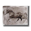 'Brown Horse Running' by Irena Orlov, Canvas Wall Art