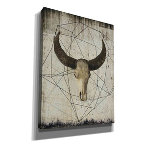 'Buffalo Skull' by Irena Orlov, Canvas Wall Art