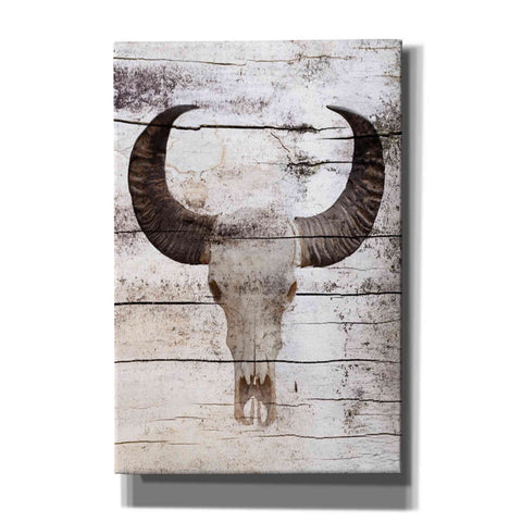 Image of 'Bullock Skull' by Irena Orlov, Canvas Wall Art