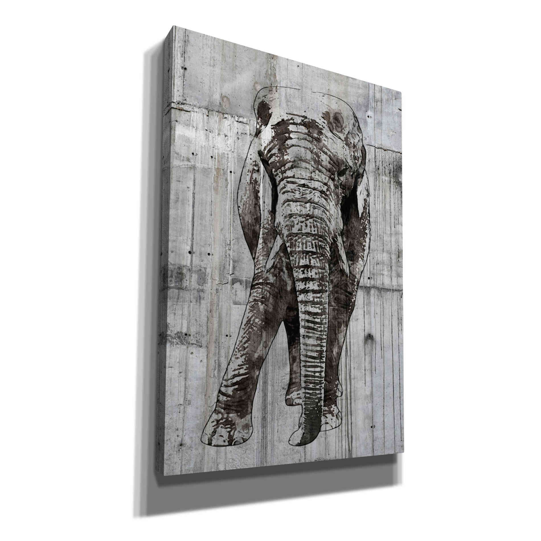 'ELEPHANT Portrait' by Irena Orlov, Canvas Wall Art