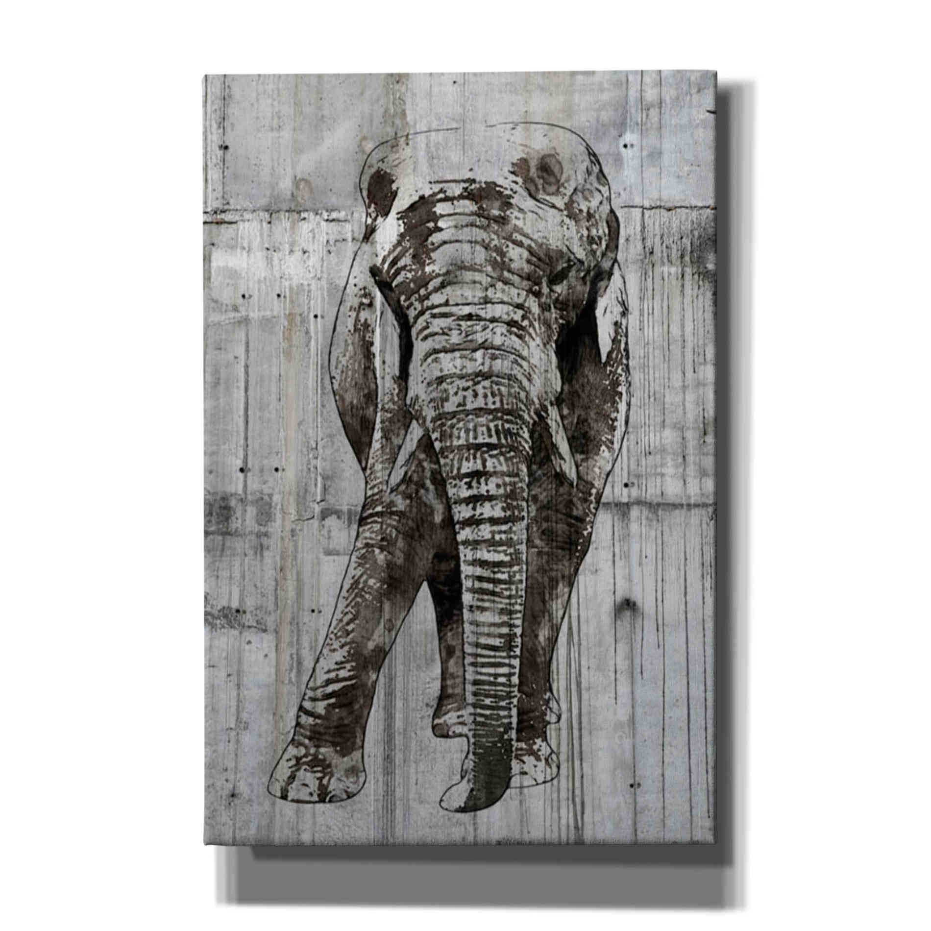 'ELEPHANT Portrait' by Irena Orlov, Canvas Wall Art