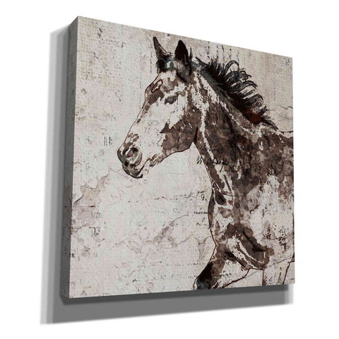 Image of 'Galloping Horse 2' by Irena Orlov, Canvas Wall Art