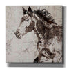 'Galloping Horse 2' by Irena Orlov, Canvas Wall Art