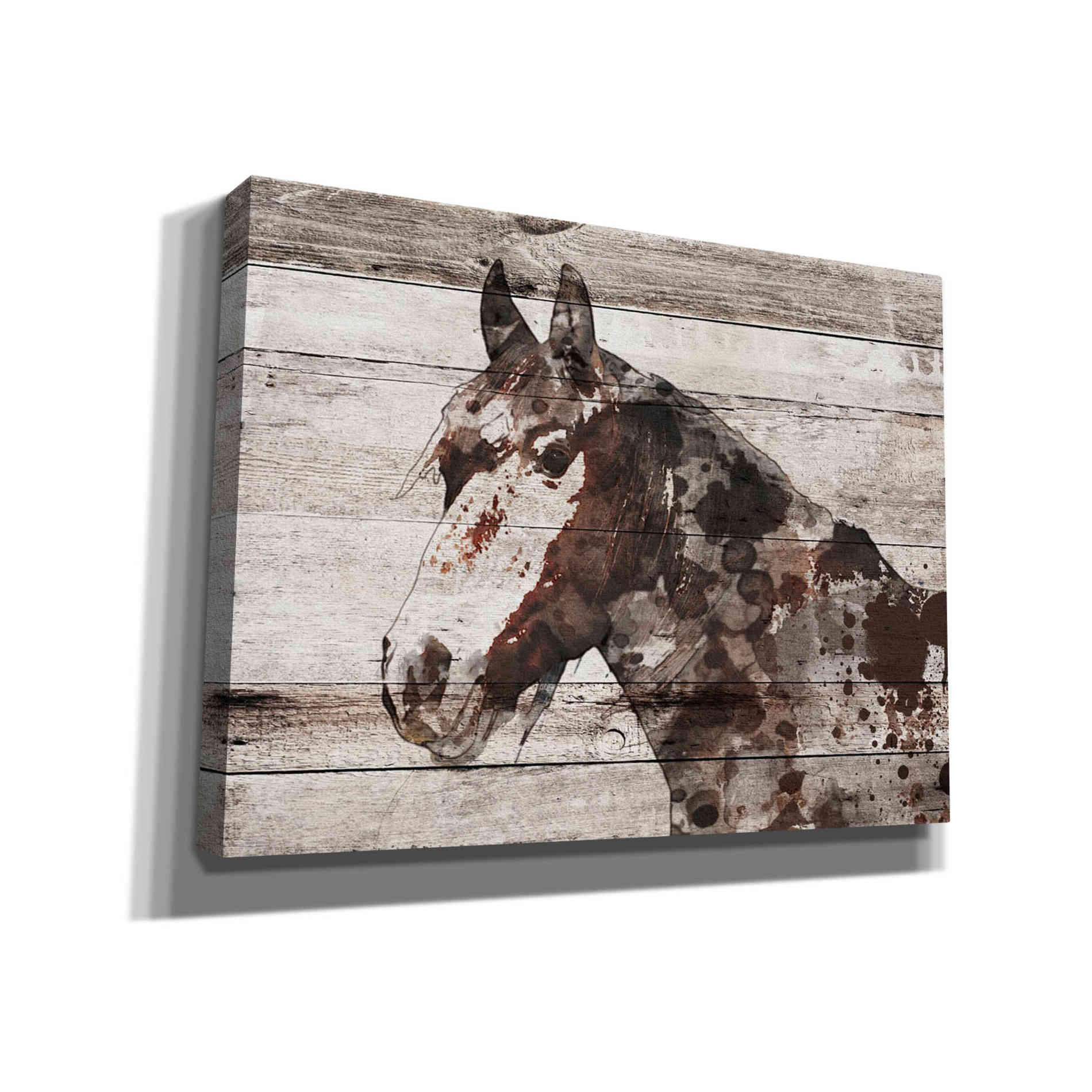 'Jalisco Horse' by Irena Orlov, Canvas Wall Art