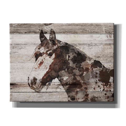 Image of 'Jalisco Horse' by Irena Orlov, Canvas Wall Art