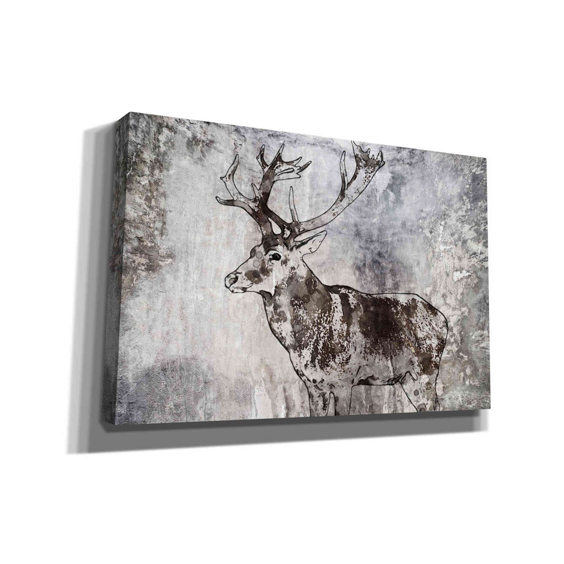 'Javan Rusa' by Irena Orlov, Canvas Wall Art