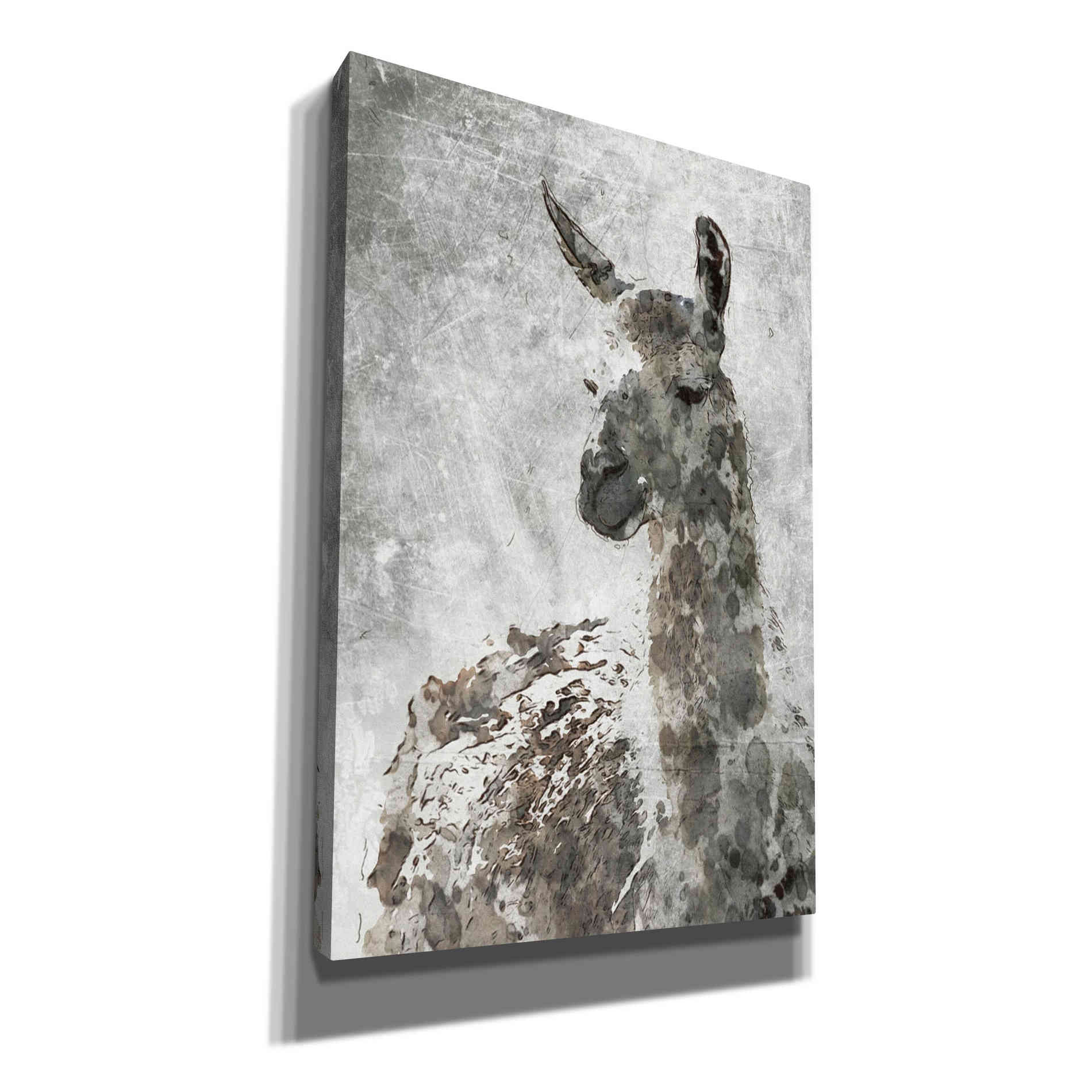 'Llama' by Irena Orlov, Canvas Wall Art